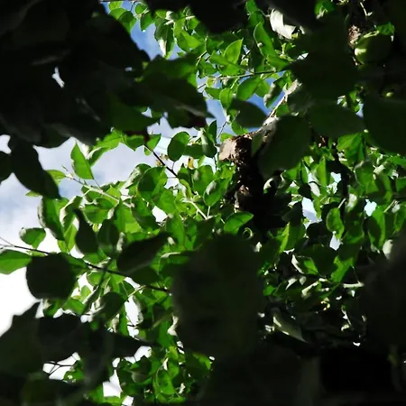 Montabaur Heiligenroth