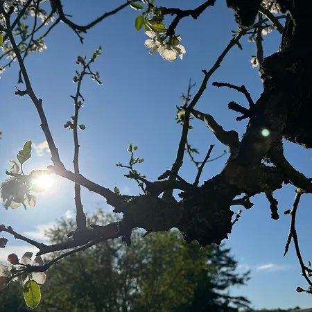 Montabaur Heiligenroth