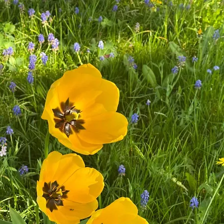 Montabaur Apartmán *