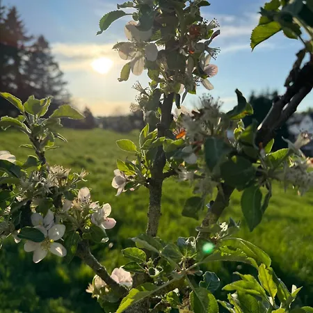 Montabaur Apartment Heiligenroth