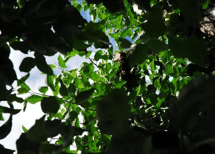 Montabaur Heiligenroth