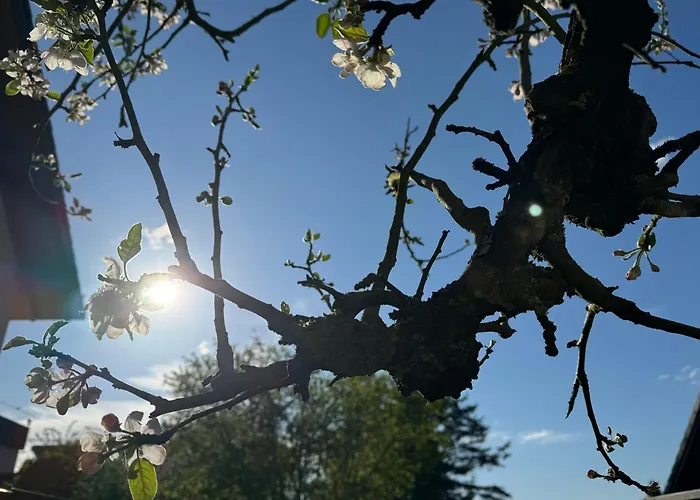 Montabaur Heiligenroth