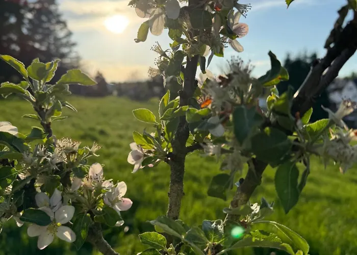 Montabaur Apartment Heiligenroth